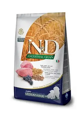 Farmina N&D Ancestral Grain Dog Lamb Blueberry Puppy Medium & Maxi сухой низкозерновой корм для щенков средних и крупных пород, беременных и кормящих собак с ягненком и черникой